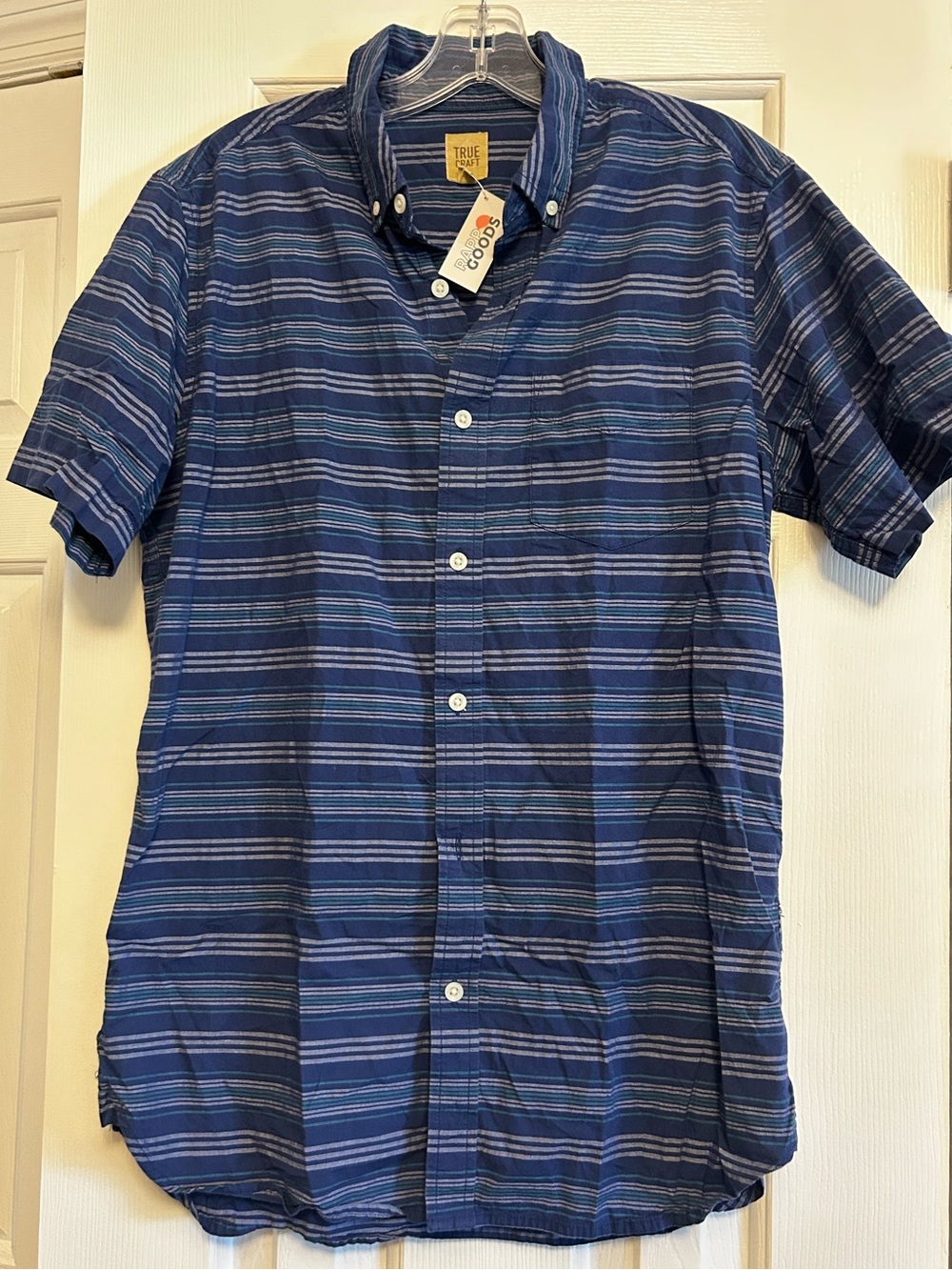True Craft Blue Striped Short-Sleeve Button-Up Shirt